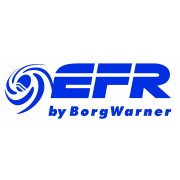 BorgWarner EFR